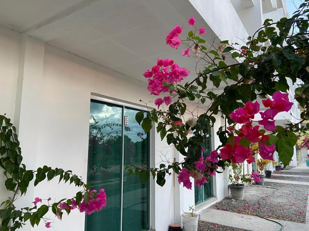 Solar Teixeira Flats Hotell Pôrto das Galinhas Eksteriør bilde