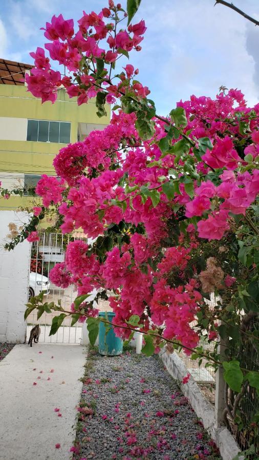 Solar Teixeira Flats Hotell Pôrto das Galinhas Eksteriør bilde