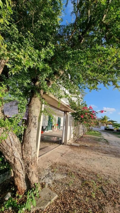 Solar Teixeira Flats Hotell Pôrto das Galinhas Eksteriør bilde